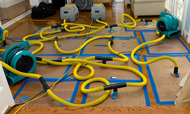 Professional Water Damage Restoration technician working in Magnolia, NJ